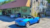<em>Rhododendron</em> - This PO shares its building with a pizza place that maybe puts magic mushrooms on a pie. (6/29/25)