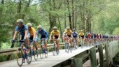 <b>Rural - </b>Professional bike riders blast across a one lane bridge in rural north Georgia, in last year's inaugural Tour de Georgia. Earlier in the morning Donna and I drove the 122-mile route these guys were going to ride, found this little bridge and knew this would be a great vantage point. (11/04/2003) Rural