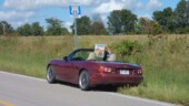 <b>State - Missouri:</b> Seeing as we were traveling a bit of the Historic Mother Road and they thoughtfully put the state name in the sign it seems like a good proof of visit. (9/11/15) State - Missouri