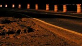<b>Orange - </b>They are completing a by-pass loop around our fair city and they just shifted a road about 15 yards to the right. This shift has led to the liberal use of orange barrels. I went out in the chilly evening to experiment more with the night mode on the camera and try and get an interesting photo of these barrels. In my minds eye the photographs I would return with would be breath taking, things are always easier to imagine....There is a big incandescent street lamp to left that even gave the dirt an orange glow. (02/19/2004) OLYMPUS DIGITAL CAMERA