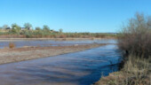 <b>Rio Grande - </b>Here outside Bernilillo, NM the river is fairly fast moving. We were poking around the bank here looking for an ammo can. (04/19/09) Rio Grande