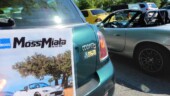 <b>Best Bumper Sticker #3: </b>Found this "bumper sticker" in the same Home Depot parking lot as the May The Forrest one from a couple weeks ago. (4/24/19)