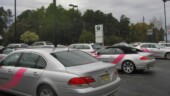 <b>Oooh, Here Are Some Of The Big Boys - </b>There are a few empty spots meaning there were some cars out on the 15 mile loop they have mapped out for us. Left behind and looking a little forlorn on this misty, gray day are a 750i & a 650i convertible. (03/28/06) Oooh, Here Are Some Of The Big Boys