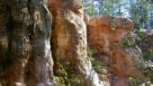 <b>Chalk Cliffs - </b>February - We have walked along the tops of the Chalk Cliffs a dozen or so times while traversing through the woods, today was the first time I found my way down to the base of the 25' cliffs. (02/26/06) Chalk Cliffs