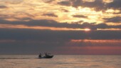 Going Fishing