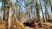 <b>Pete Bostwick Trail</b> - The bottom sign "To South Boundary" has always been here, the Pete Bostwick Trail is kind of new. (1/31/19)