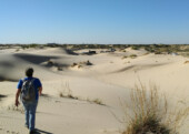 <b>Monahans (TX) Sandhills State Park</b> - A one day stopover to visit Donna's brother Steve. While he was at work we explored this interesting <a href="https://tpwd.texas.gov/state-parks/monahans-sandhills">state park</a>. (05/05/2018)