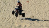 Sandman
