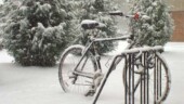 <b>Weather - </b>Willie rides his bike to and from work everyday year round, 6 miles each way. He rides in the triple digit heat of summer; he rides when it is raining, and he even rides during our infrequent winter snowstorms. On this day last January nearly half the workforce called in to say they couldn't get to work. Not Willie. (07/22/2003) Weather