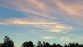 <b>Everyday Things - </b>I was going to submit a macro image of my keyboard because that is pretty much an everyday thing, but when I looked at the photos I realized how dirty it was. So instead of grossing you out with minute unidentified food particles blown up to boulder-sized proportions, I took a picture of the dawn this morning on the way in from my parking space at work. (11/18/04) Everyday-Things