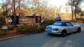 <b>Natures Giant 05 - Congaree Swamp: </b>The Congaree National Park is the largest intact expanse of old growth bottomland hardwood forest remaining in the southeastern United States. We used this park for one of our submissions for National Parks in our first challenge back in 2014. (12/16/17)