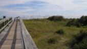 Boardwalk