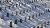 <b>Arlington Cemetery 2 - </b>On the south facing sides of the hills, the 3" snowfall from two days before was still hanging on. (03/02/05) Arlington Cemetery 2