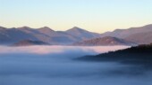 Low Clouds