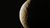 <b>Fruit - </b>Cantaloupe Moon. (09/09/2004) OLYMPUS DIGITAL CAMERA