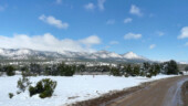 <b>Postcard Morning - </b>The two inches of snow overnight made for a picturesque drive to the ranch house and auction area. (04/18/09) Postcard Morning