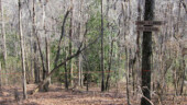 <b>Trail Closed To Horses - </b>We just love the couple of trails in the woods so designated becaue it means that we don't have to dodge horse poop. (03/12/06) Trail Closed To Horses