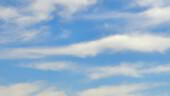 <b>Simple - </b>Sunsets are always a crowd pleaser, but I prefer sunrise and morning skies with their promise of new beginnings. Simply beautiful blue and white clouds. I will probably submit this one to my favorite online photo meme site, Enchanted Ceiling, to go along with the other half dozen already there. (10/21/03) Simple