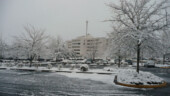 <b>Aiken Regional Medical Center</b> - Yet another view. Aiken-Regional-Medical-Center