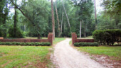 <b>Memorial Gate - </b>July - Instead of entering the woods at our usual place, we went in at the end of South Boundary today. There were four other cars already in the parking area and we kidded each other about how crowded the 2200 acre woods would be with *all* those people in them. A short way in along this entry path is Memorial Gate, a brick gateway dedicated in Francis R. Hitchcock?s memory by his friends in 1929. (07/30/06) Memorial Gate