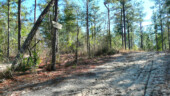 <b>Ridge Track - </b>Ridge Track this way. --> (01/09/09) Ridge Track