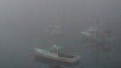 <b>Serenity - </b>Port Clyde, Maine - September 2, 2000. We drove through the dense fog for 20 miles at speeds approaching crawling with a full car of my aunt, cousin, cousin's husband, Donna and I to get some supper. The trip down was anything but serene, but after eating a fresh lobster roll, washed down with a cold beer, sitting on the dock in the near silence was the very definition of serenity. (12/23/2003) OLYMPUS DIGITAL CAMERA