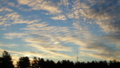 <b>TGIF - </b>Thank God It's Friday. It is the end of the workweek and to make it even better Donna and I only had to work 4 hours today. This morning's sunrise was a perfect match for our mood. Took this picture in the parking lot at work on the way in from the car. I almost used it for PhotoFriday's Patterns, but I used those birds on a wire. (11/19/04) TGIF