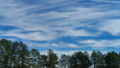 <b>Above the Trees II - </b>This one was taken in my favorite spot for these Enchanted Ceiling images, the ASCO parking lot in the morning on the way in from the car. (02/19/07) Above-the-Trees-II