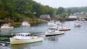 <b>Port Clyde, ME Lobstah Boats</b> - This is where the ferry to Monhegan leaves from, but the three of us decided to check it out the night before. While there we had dinner of lobster rolls. (09/04/12) Port Clyde, ME Lobstah Boats