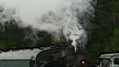 <b>Train Arrives II - </b>Flagg Coal Company #75 Steam Engine pulls into the station. Train Arrives II