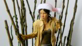 <b>Christmas Kate - </b>It's beginning to look a lot like Christmas. Christmas Kate