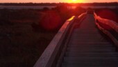 <b>Sunset on the Boardwalk - </b>We got to the New Smyrna Beach Boardwalk as the sun was going down and it made for an awesome experience. (11/21/06) Sunset on the Boardwalk