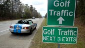 <b>Signs of Spring 03 - Golf Traffic Signs: </b>As sure a sign as blooming dogwoods and azaleas are that spring is here in our area, so are these signs that sprout up along I-20 the last week of March to direct the hordes of golf fans to the Augusta National to watch The Masters in the first week of April. And just like the blooms on those dogwoods and azaleas after a couple of weeks the signs disappear. (3/29/2018)