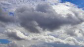 <b>Angry - </b>The little gray cloud in front of the nice white ones looks angry. (11/16/05) Angry