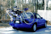 Big Bike Back
