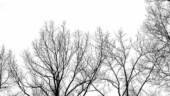 <b>Emptiness - </b>
(01/30/2004) OLYMPUS DIGITAL CAMERA