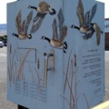 On the corner of S 6th Street & Klamath Avenue