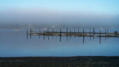 <b>Mist - </b>Morning. Seabeck, WA (10/01/06) Mist