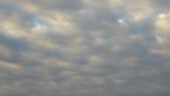 <b>Glow - </b>This mornings sky had just started to glow as we arrived at work. After the last few days, even those small peeks of blue, are welcome sights. (03/18/05) Glow
