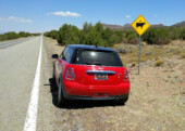<b>UFO Cattle Crossing</b> - On the way up to Madrid on NM14 Donna asked, “Did you see that cattle crossing sign? It had a UFO on it above the cow silhouette.” “Nope,” I replied, then I asked, “Go back?” “Yes,” she said. Not only is there a little UFO silhouette on above the cow, but there is a small doll eye glued where a cow would have an eye. (05/08/2018)