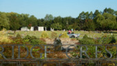 <b>Destination - Cemetery:</b> (9/5/16) Destination - Cemetery