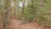 <b>Randy's Route - </b>Is it a route taken by Randy? A route created by Randy? Or the way to Randy? Ask him for me if you see him before I do OK? (01/02/16) Randy's Route
