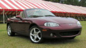 <b>May - </b>Every year in April they hold a big horse show at the steeplechase field near my home. They were setting up the giant tents this weekend and they left the gate open. Shouldn't do that, you never know what might drive in. May