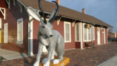 <b>Jackalope #2, Douglas, WY - </b>Jackalope hunting licenses can be obtained from the Douglas Chamber of Commerce, though hunting of jackalopes is restricted to the hours of midnight to 2 a.m. on June 31. (04/11/09) Jackalope #2 Douglas, WY