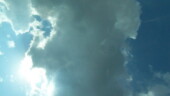 <b>Sky Light II - </b>Donna took this picture through the moonroof, kinda cool and a lot less busy than my through the windshield shot. (03/15/07 - Augusta, GA) Sky Light II