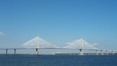 <b>Cooper River Bridge - </b> Sunday we are off to Charleston to visit the South Carolina Aquarium. This view of the Cooper River Bridge which carries traffic in and out of the city is from one of the balconies on the back of the aquarium. (11/19/06) Cooper River Bridge
