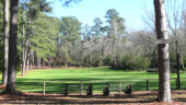 <b>No Horses In Ring - </b>This is a picture of a sign that says "No Horses In Ring" that is tacked onto a tree just outside the Horse Show Ring. So if you can't have horses in there, just how do you have a show? (01/09/09) No Horses In Ring