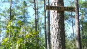 <b>Lover's Lane - </b> No explanation needed for this trail. (09/30/07) Lover's Lane