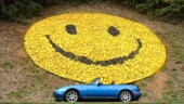 <b>Yellow - </b>Subtitled "Have A Nice Day." On a road trip to Asheville a couple three years back we stumbled on this bit of Roadside America on a two-lane state highway in North Carolina. Someone had quite a few rocks and a lot of yellow paint lying around extra. (05/25/2005) Yellow