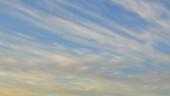 <b>Luscious - </b>I can tell spring is on the way because it is no longer dark on the way to work anymore. Today was the first day that I actually didn't need the headlights on. It is also the time of the year when I am fond of snapping sky pictures on the way into work while walking across the parking lot from our usual north-forty spot. This is one of those shots, isn't the sky just Luscious? (04/06/04) Luscious